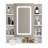 LED Bathroom Mirror Cabinet 3 Color Dimmable Light with Storage Shelves 72x80cm