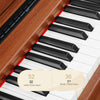 Glarry 88 keys Bluetooth Digital Piano Full Weighted E-Piano w/ Stand Headphone