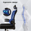 Flamaker Office Desk Chair Ergonomic Computer Chair with Lumbar Support Black