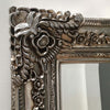 Mirror Extra Large Full Length Wall Vintage Antique Champagne Leaner 200 x 100cm