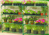 2x Greenhouse 4 Tiers Staging Shed Garage Storage Steel Shelving Shelves Racking