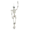 170cm Giant Full Life Size Human Skeleton Model Horror Bone Posable Halloween