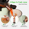 SOVIDER Slow Cold Press Juicer Masticating Machine Pulpy Juice Extractor 100W UK