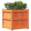 Camerina Garden Planter Wax Brown 50x50x50 Solid Wood Pine,Garden L1P3