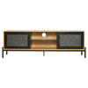 TV Stand Cabinet Rattan TV Table Storage Unit TV Entertainment Unit w/ 2 Doors