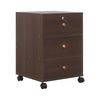 Mobile 3 Drawers Filing Cabinets Printer Stand Pedestal Lockable Bedside Table