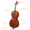 Natural Color Spruce Cello Panel with Tiger Pattern Bag Bow Rosin Strings