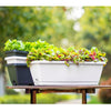 5 x Trough Plant Pot Long Plastic Planter Outdoor Garden Window Herb Flower Box