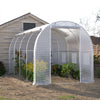 Walk-in Galvanised Frame Polytunnel Greenhouse Pollytunnel Plants Warm House