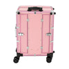 Rolling Makeup Train Case Cosmetic Trolley Organizer Travel w/LED LIght & Mirror