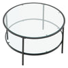 Contemporary Coffee Table 2-Tier Glass Center Table Large Side Table Living Room