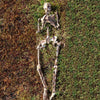 Halloween Decoration Skeleton Skull Bones Haunted Houses Party Scary Ornament UK