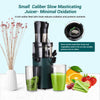 Electric Juicer Machine Juice Fruit Squeezer Slow Masticating Brush Pulp Cup UK