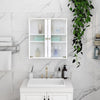 Wall Mounted Shaving Medicine Storage Cupboard Bathroom Cabinet Dual Glass Doors