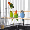 Large Wide Bird Cage Flight Cage Breeding Cage for Small Parrots/Budgie/Lovebird