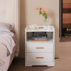 LED Nightstand USB Charger Outlet RGB End Table Versatile 2-Drawer Bedside Table
