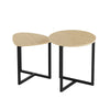 Modern Nesting Coffee Table Set Of 2 For Living Room, Wooden Coffee Table End