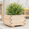 Garden Planter 40x40x26.5 Solid Wood Pine G9M4