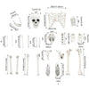 Halloween Decoration Skeleton Skull Bones Haunted Houses Party Scary Ornament UK