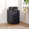 Lockable Office Home Filing Cabinet Cupboard on Castors Chest Drawers Storage
