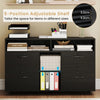 File Cabinet Mobile Lateral Filing Storage Organizer with Lock-Black