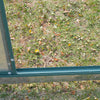 Clear Garden Grow Polycarbonate Aluminium Greenhouse Plants Shelter Sliding Door