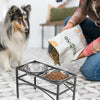 Raised Dog Bowls Pet Feeder Raised Elevated Stainless Steel Food Water Bowls