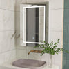 Bathroom Mirror Cabinet w/ LED Shelves Storage Illuminated Lights Wall Mounted