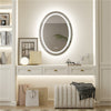 LUVODI Oval Dimmable Bathroom Illuminated LED Mirror & Double Lights Anti-Fog UK