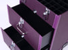 Large Makeup Case Hairdressing Nail Polish Trolley Cosmetic Vanity Storage Box