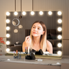 17 LED Hollywood Vanity Makeup Mirror Lighted Touch Screen Light Up 80x60cm Gold