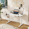Panana Electric Standing Desk Height Adjustable Sit to Stand Table Home Office