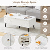 2-in-1 Coffee Table With Lift Up Top and 2 Large Storage Cabinet White Wooden