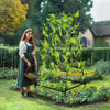 Garden Trellis A-Frame for Climbing Plant Vegetable Fruit Support Stand Full Set