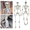 Halloween Poseable Skeleton Full Life Size Human Skeleton Decoration Prop 160cm
