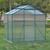 4x6/6x6/8x6/10x6FT Walk-In Greenhouse Aluminium Frame / Polycarb Panel Silver