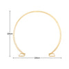Gold Metal Double Ring Arch Flowers Stand Moongate Circle Wedding Backdrop Props