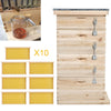 Langstroth/UK Beehive Box Wooden Bee Hive Frames Beekeeping Honey Brood Box Kit