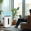 20L/Day 6.5L Dehumidifier with Air Purifier HEPA Filter, 24H Timer, White