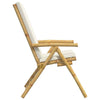 Bistro Chairs Set of 4 Folding with White Bamboo Z1A8