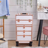Rolling 5 in 1 Makeup Trolley Beauty Trolley Case w/Drawers Hairdressing Case