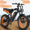 Electric Bike 750W Motor 48V 18.2Ah Fat Tire E-Bike 20x4.0 All Terrain Adult