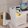 LED Nightstand Bedside Table Storage Cabinet with Charging Station & 2 Drawers