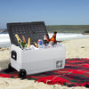 36L Camping Dual Zones Frost Fridge/Freezer Portable Cool Box for Car Camper Van
