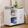 Mobile Filing Cabinet Wood 3 Drawer Storage Shelf File Cabinets Printer Stand