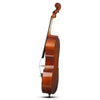 Natural Color Spruce Cello Panel with Tiger Pattern Bag Bow Rosin Strings