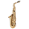 Golden Saxophone Alto Eb Flat Sax Brass Instrument with Case & Accessories Brass