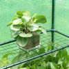 Greenhouse PE Plastic Garden Plants Grow Green House Cover w/ 4 Shelves Outdoor