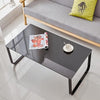 Coffee Table with Storage Metal Frame Legs Black Glass End Side Table