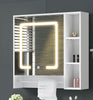 Tavion Bathroom Mirror Cabinet w/ shelves with Lights [1 Door+3 Shelves] 27-2-20